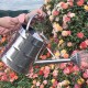 Hwagui-Watering Can Rose Head: Sprinkler Head Watering Can Head Metal Watering Can Attachment Spray Can Nozzle Watering Can Head Replacement Watering Can Spout 